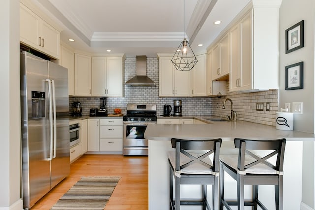 37 P St Unit 5, Boston, MA 02127 - kitchen featuring appliances with stainless steel finishes, wall chimney range hood, a peninsula, a sink, and crown molding
