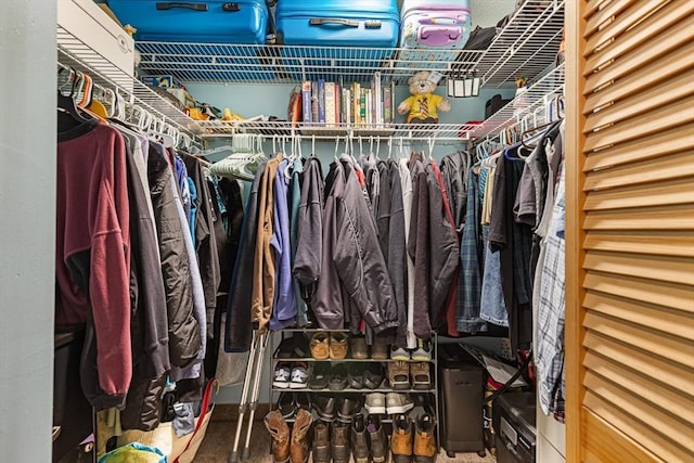 96 Old Colony Ave Unit 153, Taunton, MA 02718 - view of spacious closet