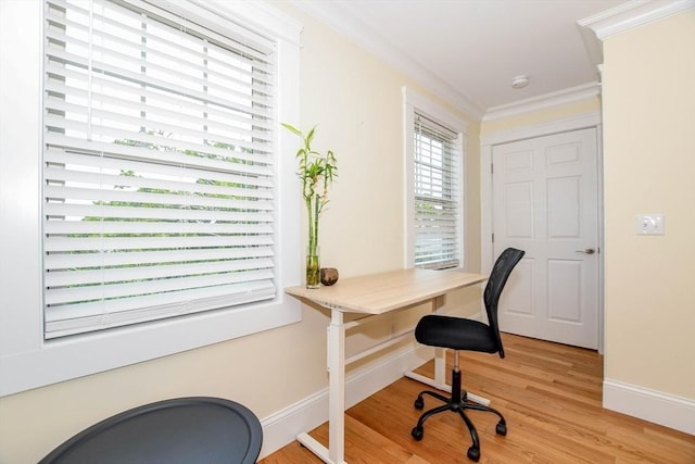 office featuring crown molding and light hardwood / wood-style floors