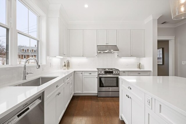 kitchen featuring decorative backsplash, dark wood-type flooring, white cabinets, stainless steel appliances, and sink