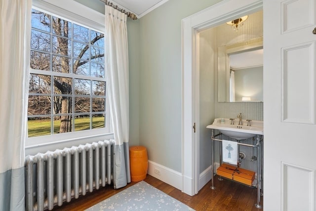 interior space featuring sink, dark hardwood / wood-style flooring, and radiator