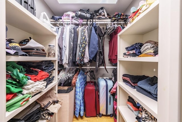 view of walk in closet