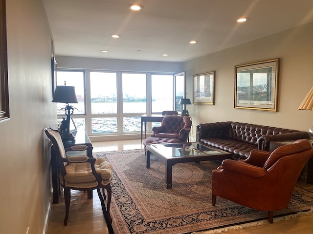 living room with wood-type flooring