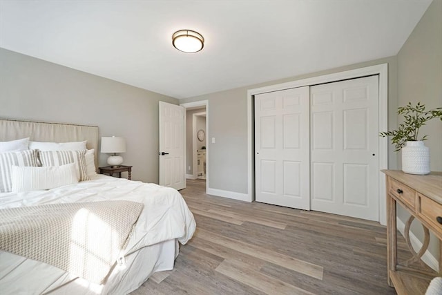 11 Rose Ave, Westport, MA 02790 - bedroom with light wood finished floors and a closet