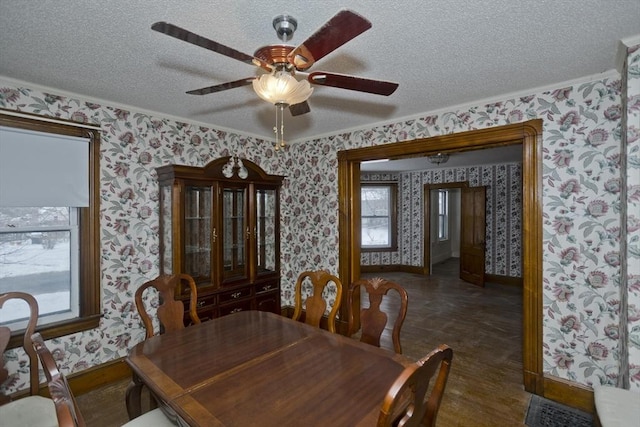 dining room with crown molding, ceiling fan, and a textured ceiling