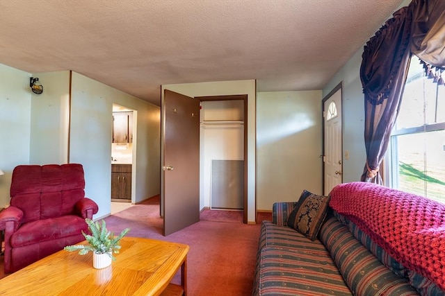 living room featuring carpet and a textured ceiling