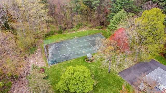 bird's eye view