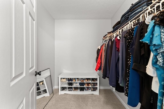 48 Finch Rd Unit 2, Raynham, MA 02767 - spacious closet featuring carpet