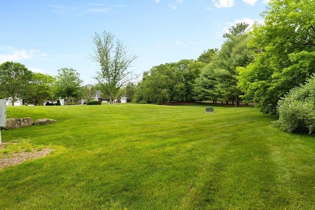 48 Finch Rd Unit 2, Raynham, MA 02767 - view of grassy yard