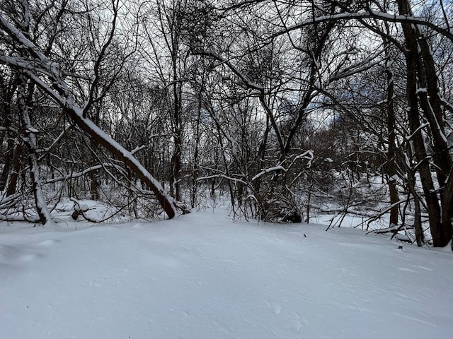 view of yard layered in snow