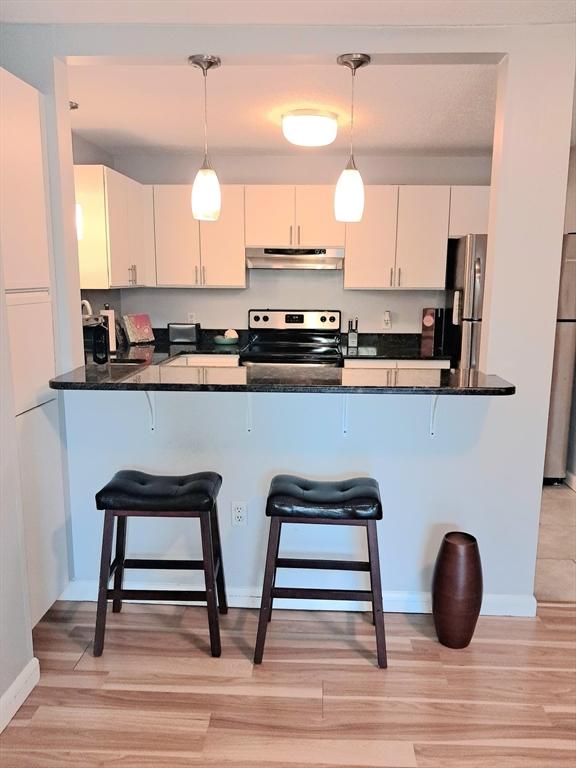 300 Candlewood Park Unit 32, Nashua, NH 03062 - kitchen with appliances with stainless steel finishes, under cabinet range hood, pendant lighting, and a peninsula