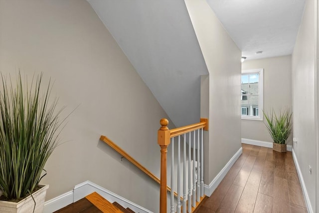 10 Sprucewood Ln Unit 10, Worcester, MA 01606 - staircase featuring wood-type flooring and baseboards