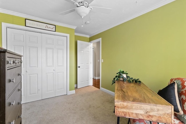10 Sprucewood Ln Unit 10, Worcester, MA 01606 - carpeted office space with ornamental molding and a ceiling fan