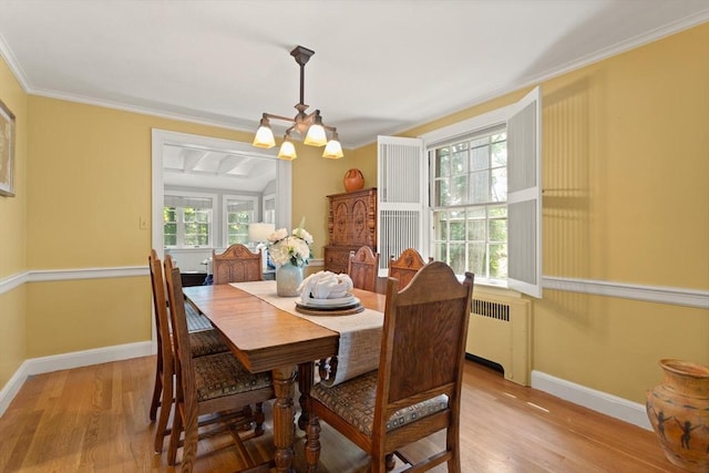 94 Laurel Dr, Needham, MA 02492 - dining area featuring radiator heating unit, light wood-style flooring, ornamental molding, and a chandelier