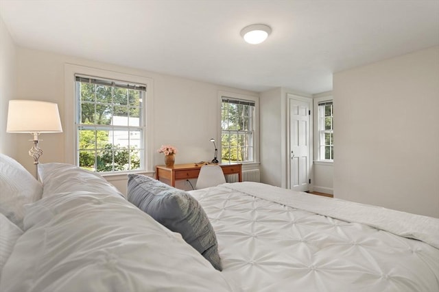 94 Laurel Dr, Needham, MA 02492 - bedroom featuring multiple windows and radiator heating unit