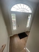 foyer featuring hardwood / wood-style floors and plenty of natural light