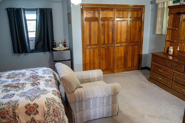 89 Audubon Ave, Braintree, MA 02184 - bedroom with carpet flooring and a closet