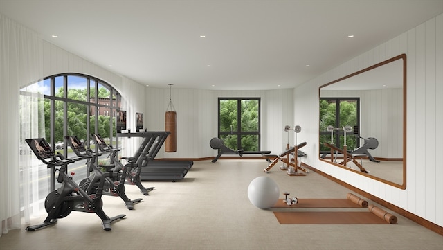 exercise room with wooden walls, a wealth of natural light, and carpet floors