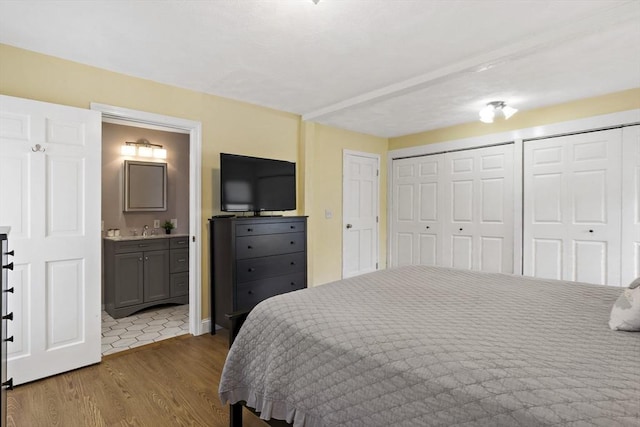 bedroom featuring two closets, wood finished floors, and connected bathroom