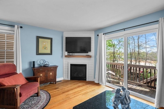 living area with wood finished floors and a fireplace