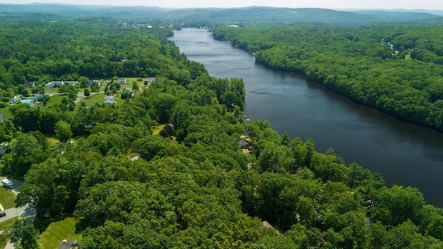 7 Birch St, Sturbridge, MA 01566 - aerial view of a heavily wooded area and a nearby body of water