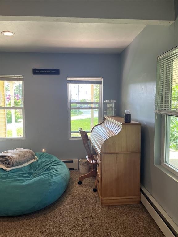 13 Harrison Ave, Bourne, MA 02532 - carpeted office with baseboard heating