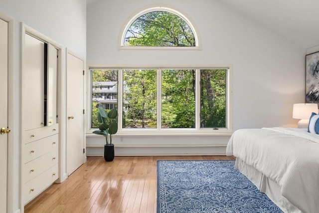 bedroom featuring wood-type flooring and high vaulted ceiling