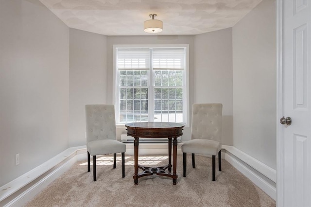 living area with carpet floors and baseboards