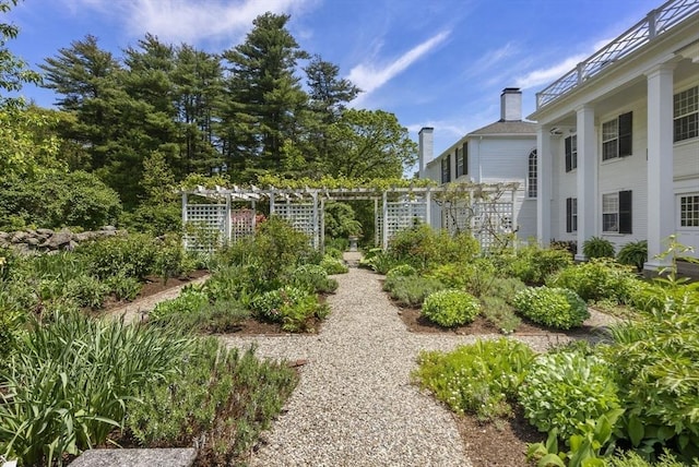 view of yard featuring a pergola