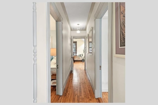 5 Willow Ave, Somerville, MA 02144 - corridor with attic access, light wood-type flooring, baseboards, and ornamental molding