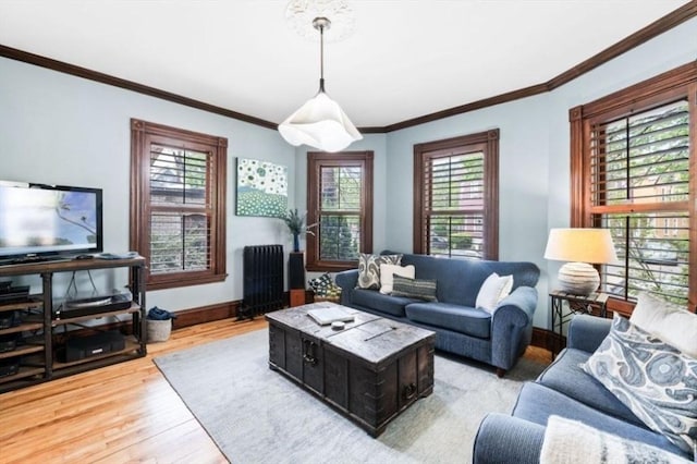 5 Willow Ave, Somerville, MA 02144 - living room featuring radiator, wood finished floors, plenty of natural light, baseboards, and crown molding