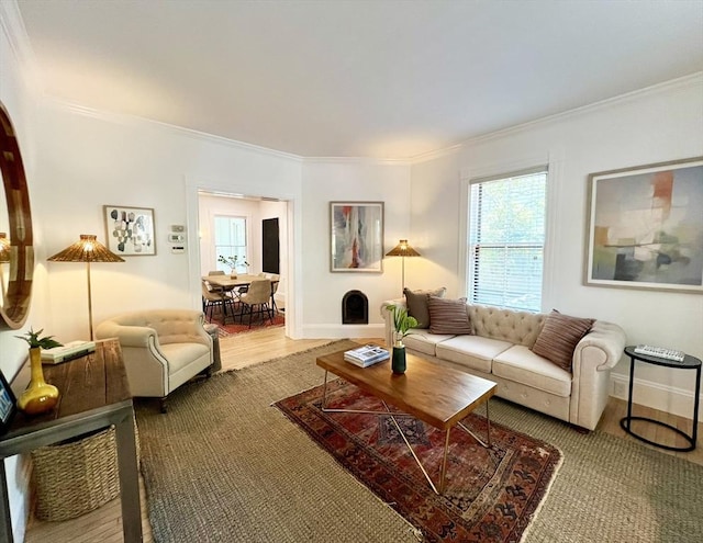 living area with ornamental molding, plenty of natural light, and baseboards