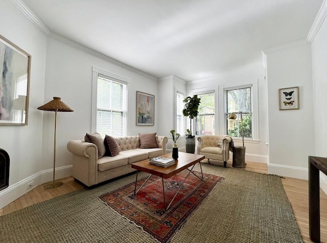 living area with light wood finished floors, plenty of natural light, ornamental molding, and baseboards