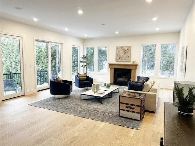 living room featuring light hardwood / wood-style flooring