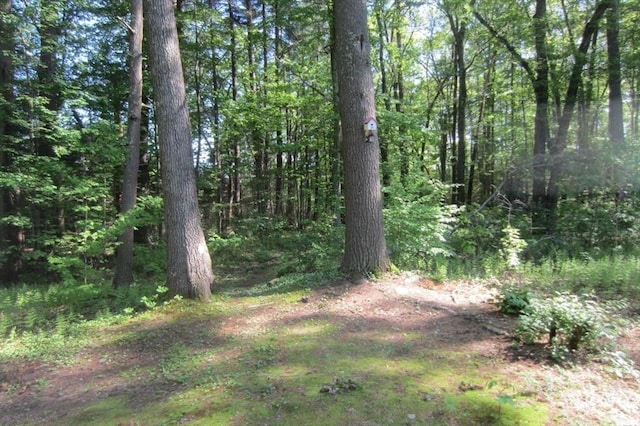 30 Bailey Rd, Oxford, MA 01540 - view of tree filled area