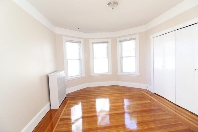 interior space featuring radiator, a wealth of natural light, and hardwood / wood-style flooring