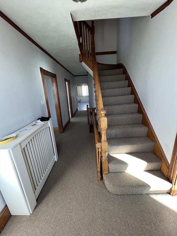 staircase with carpet floors and ornamental molding