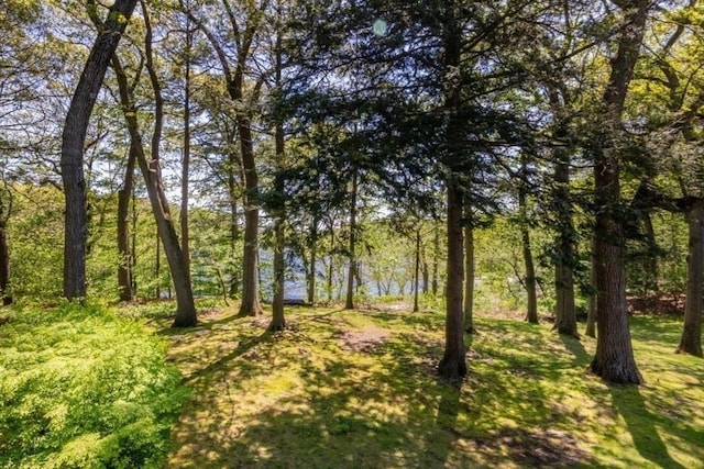 241 Perkins St Unit J602, Boston, MA 02130 - view of undeveloped land