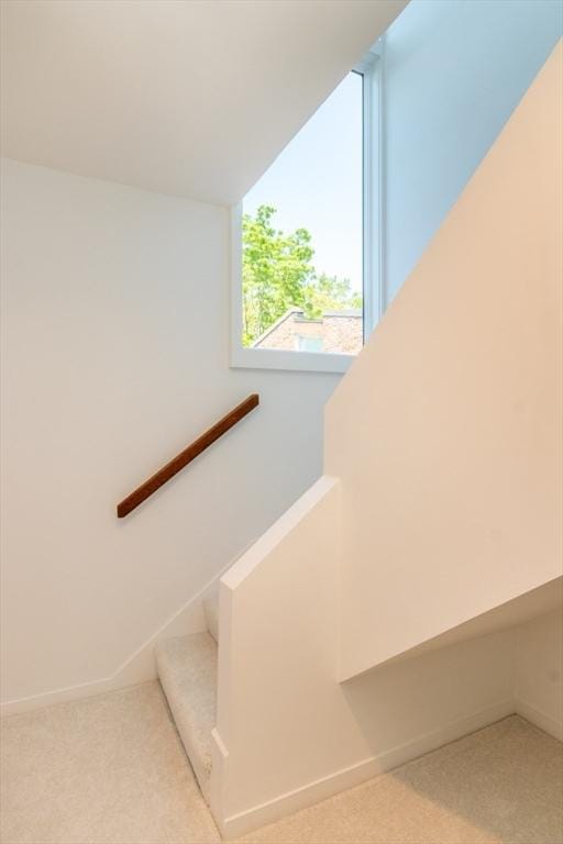 241 Perkins St Unit J602, Boston, MA 02130 - stairs featuring carpet flooring