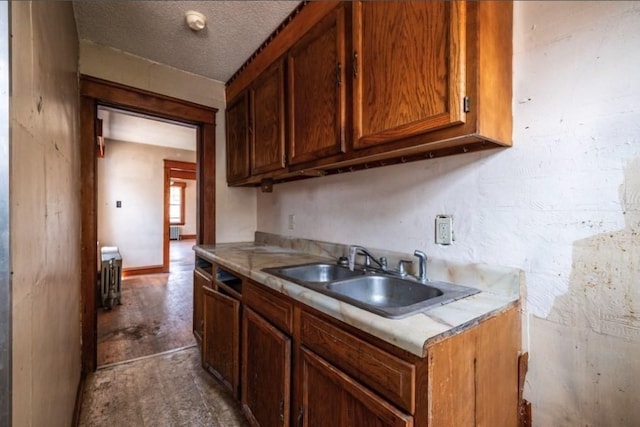 kitchen featuring sink and a textured ceiling