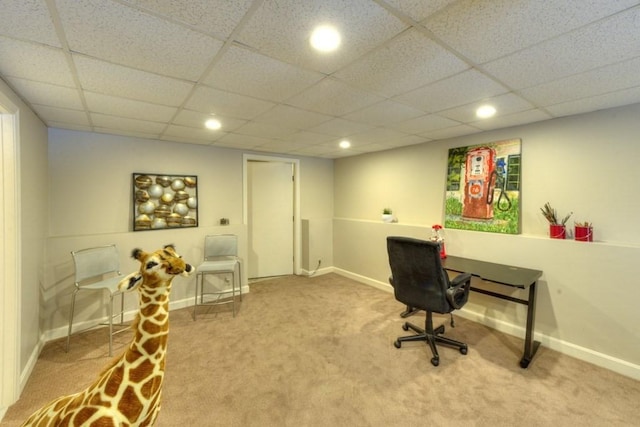 office space with a drop ceiling and carpet flooring