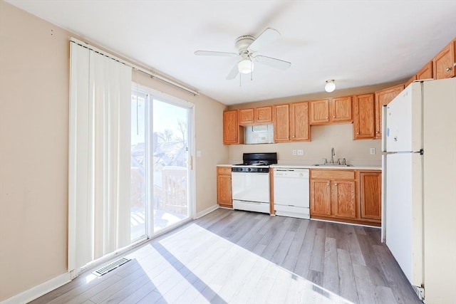 kitchen with light hardwood / wood-style floors, sink, white appliances, and ceiling fan