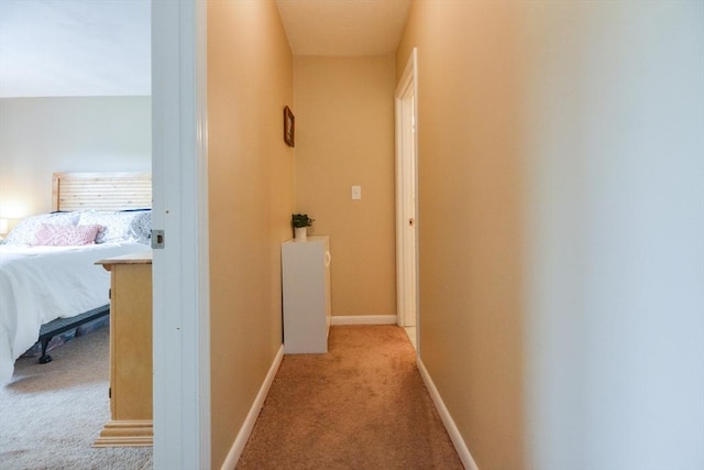145 Milk St Unit 10, Westborough, MA 01581 - corridor featuring carpet floors and baseboards