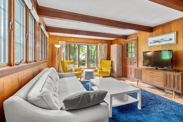 119 S Main St, Sharon, MA 02067 - living room featuring beamed ceiling and wooden walls
