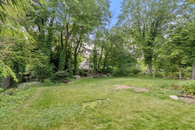 119 S Main St, Sharon, MA 02067 - view of yard