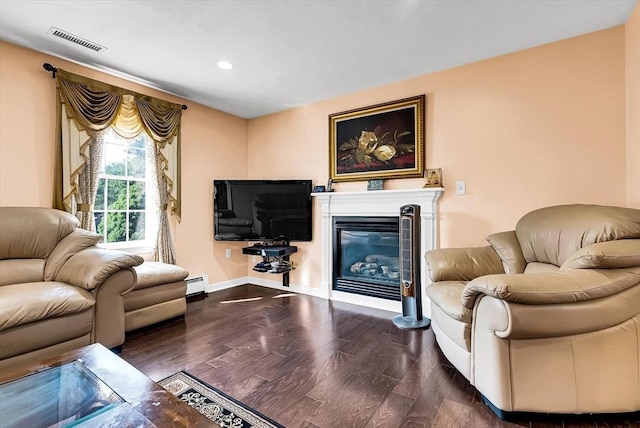 living room with a baseboard radiator and dark hardwood / wood-style flooring