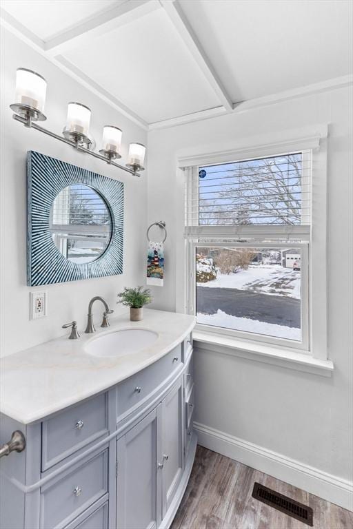 bathroom with vanity and hardwood / wood-style floors