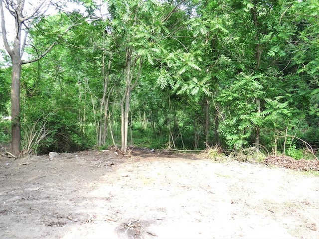 187 High St, Billerica, MA 01862 - view of woods