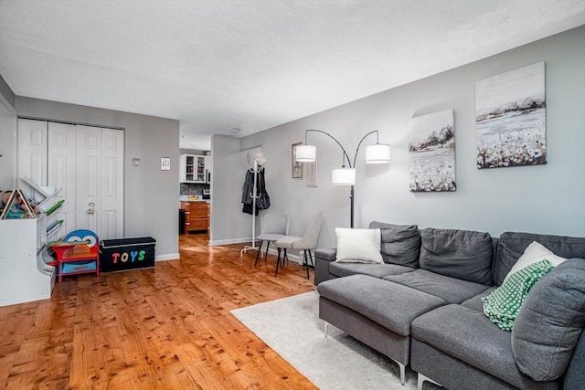 living room with wood-type flooring