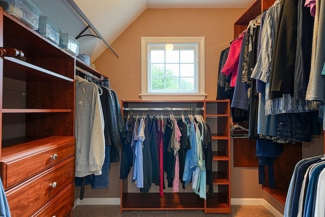 106 Willow Brook Dr Unit 106, Wayland, MA 01778 - walk in closet featuring vaulted ceiling and carpet flooring